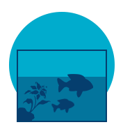 Aquascaping & Aquarienservice