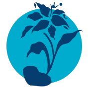 Sumpfpflanzen & Stauden