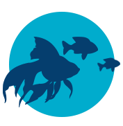 Zierfische & Wirbellose